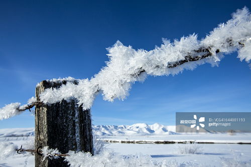 摄影图片制作 从捕捉瞬间到艺术呈现