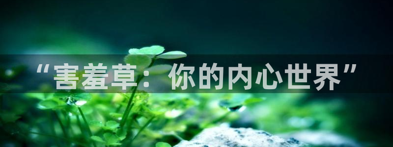 元宇宙轨道飞行影院