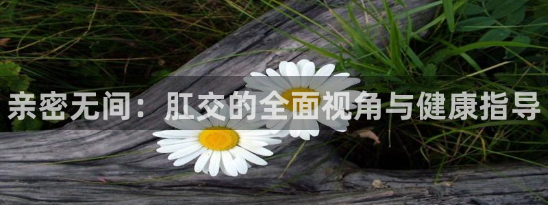 3d环幕轨道影院