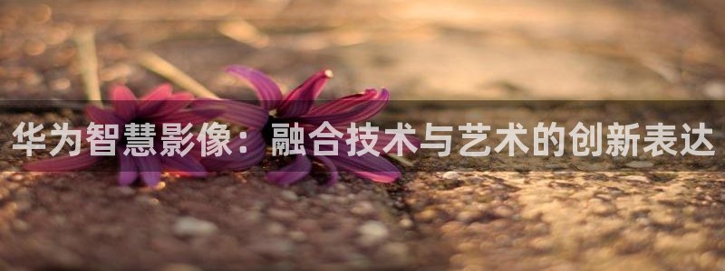 轨道9 电影