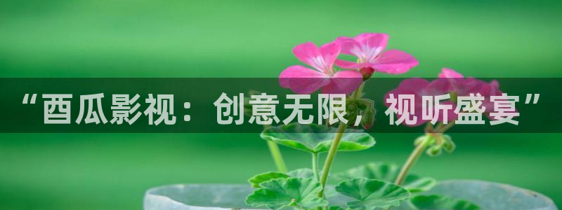 立体轨道影院