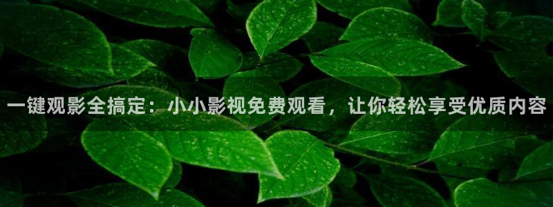 轨道影院设备生产商