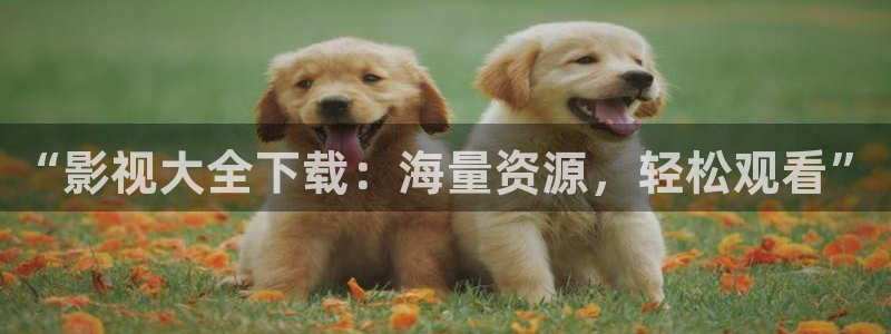 沉浸式轨道影院