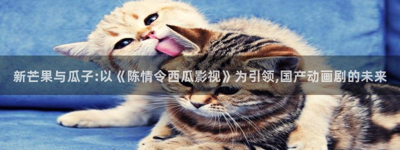 轨道电影网