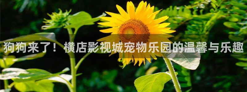 裸眼3d弧幕轨道影院